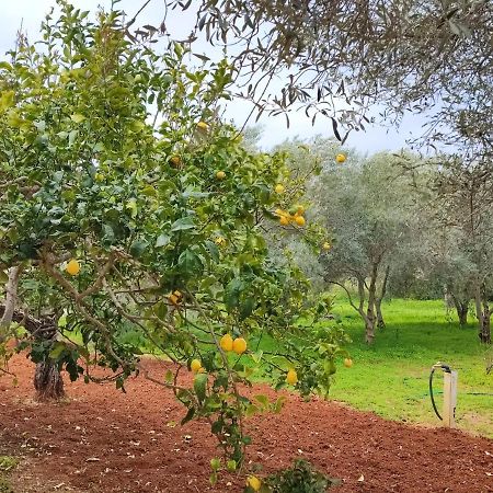 Casa Vacanze Da Nonna Mela Alghero Exteriér fotografie