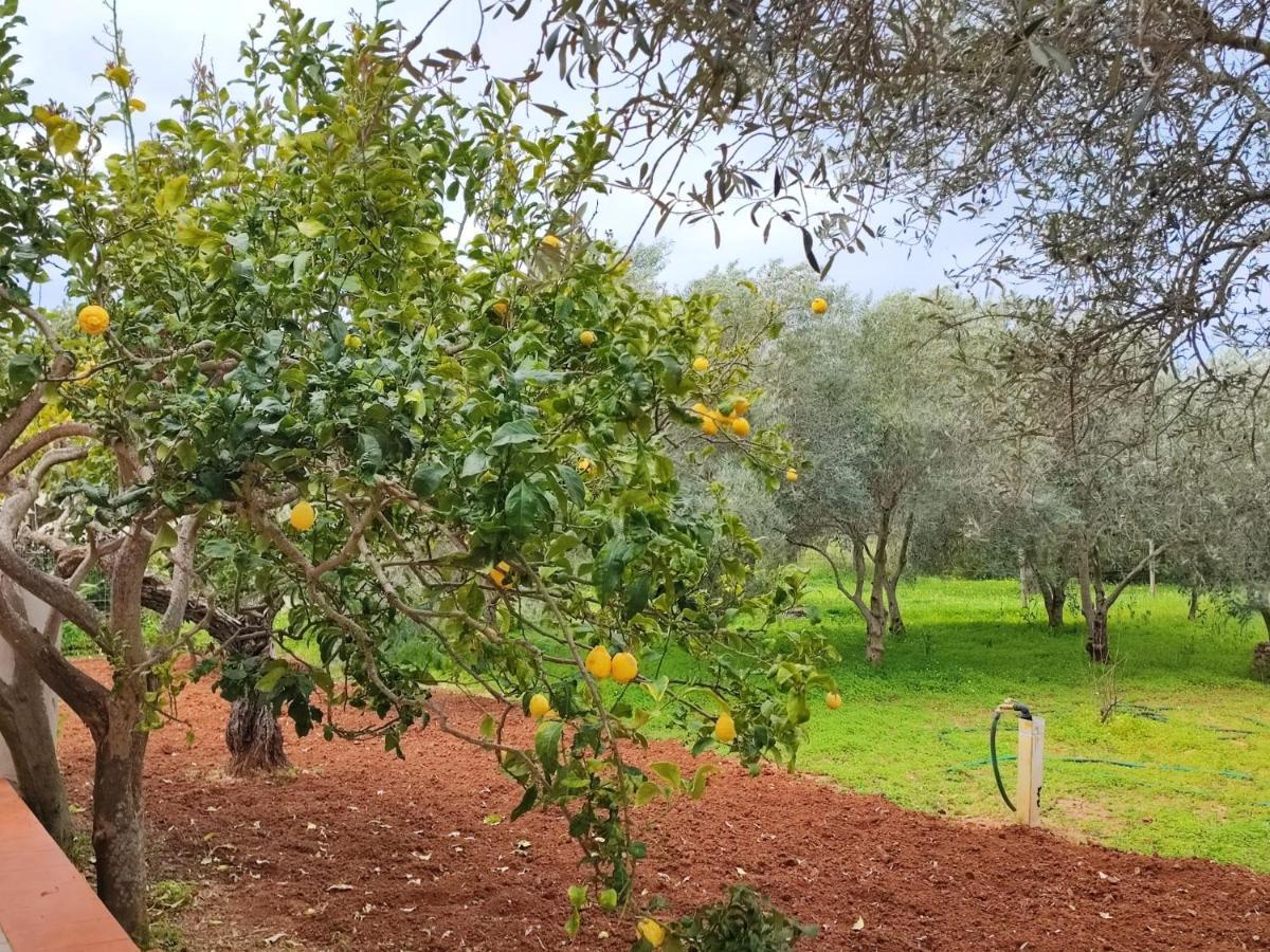 Casa Vacanze Da Nonna Mela Alghero Exteriér fotografie